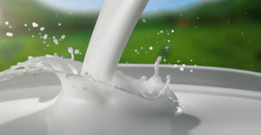 Sütaş Yoğurdu Nasıl Yapıyor?