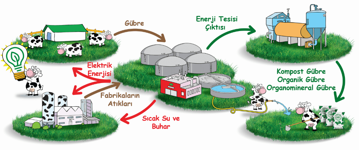 Enerji Üretimi Şeması