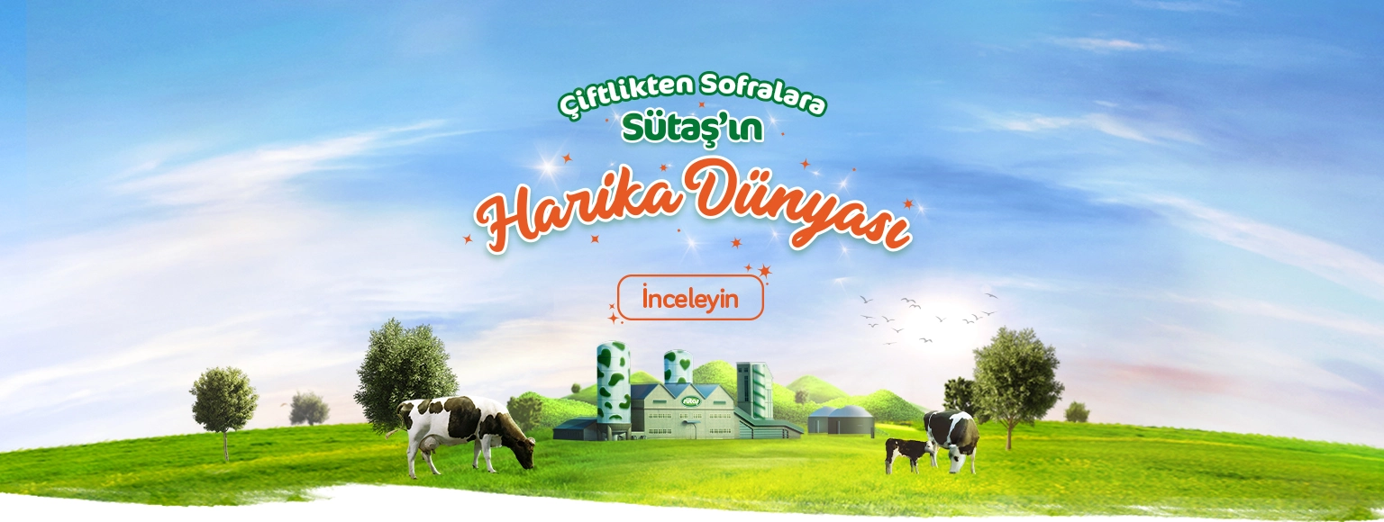 Sütaş'ın Harika Dünyası