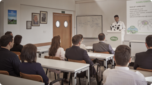 süt Hayvancılığı