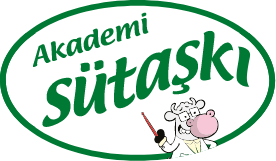 Akademi Sütaşkı