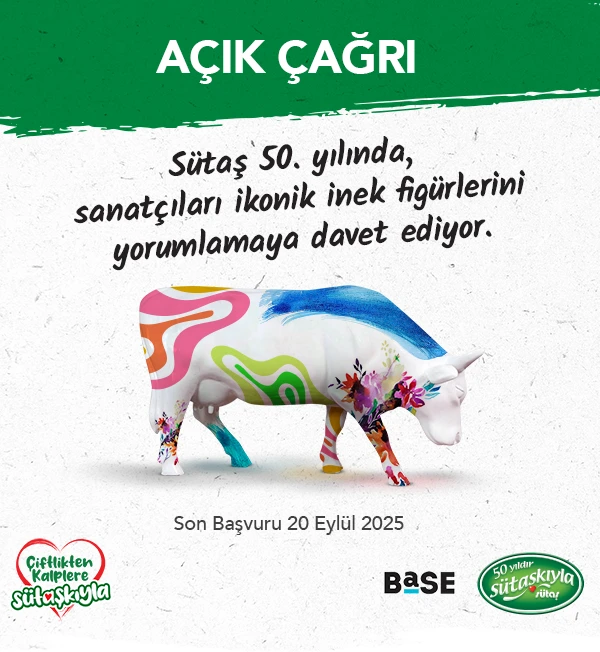 DikkatİnekÇıkabilir