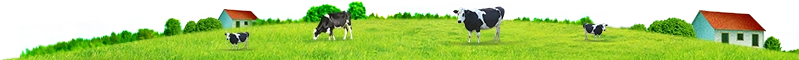 Çimen