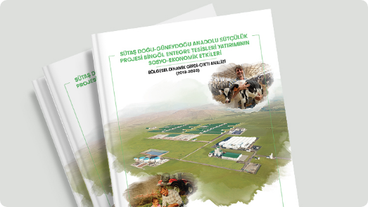 Sürdürebilirlik Raporları