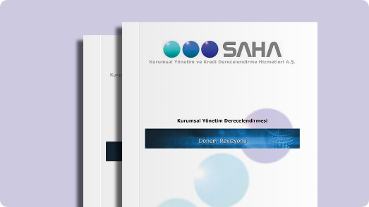 Kurumsal Yönetim İlkelerine Uyum Raporu