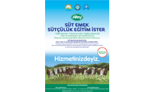 Uludağ Üniversitesi Uludağ Üniversitesi