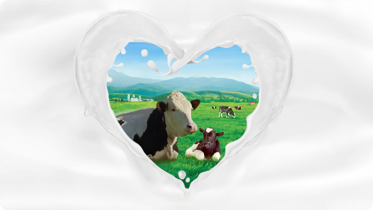 Sütçülük Anlayışımız