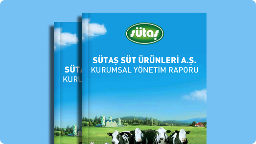 Kurumsal Yönetim İlkelerine Uyum Raporu