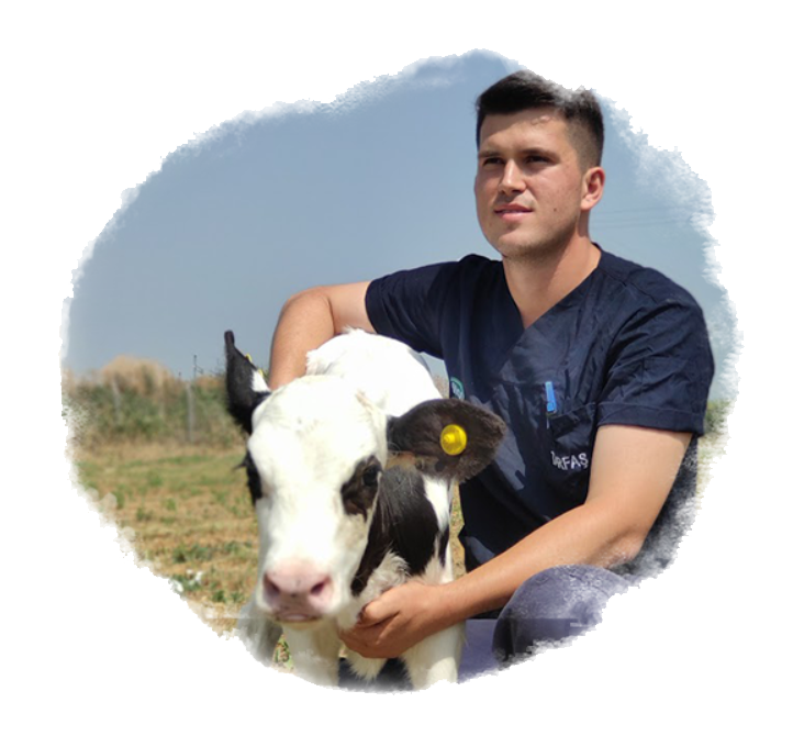 Buzağı ve Bakıcısı