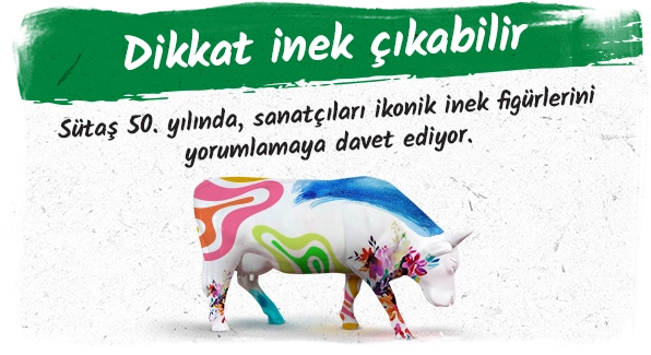 dikkat-inek-cikabilir
