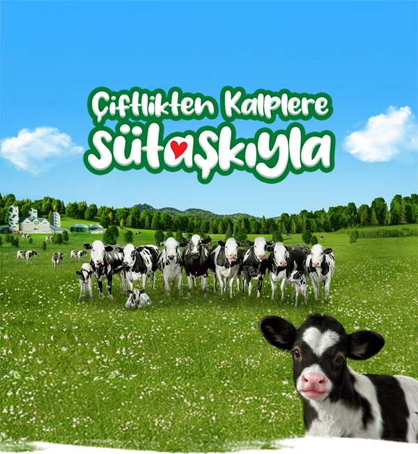 Çiftlikten Kalplere Sütaşkıyla!