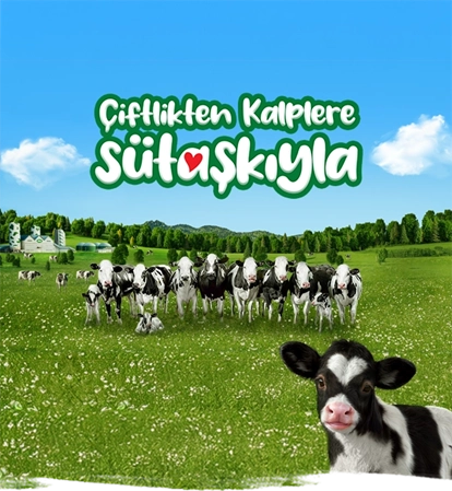 Çiftlikten Kalplere Sütaşkıyla!